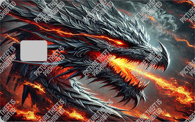 Bank  Card Sticker-BC-1566